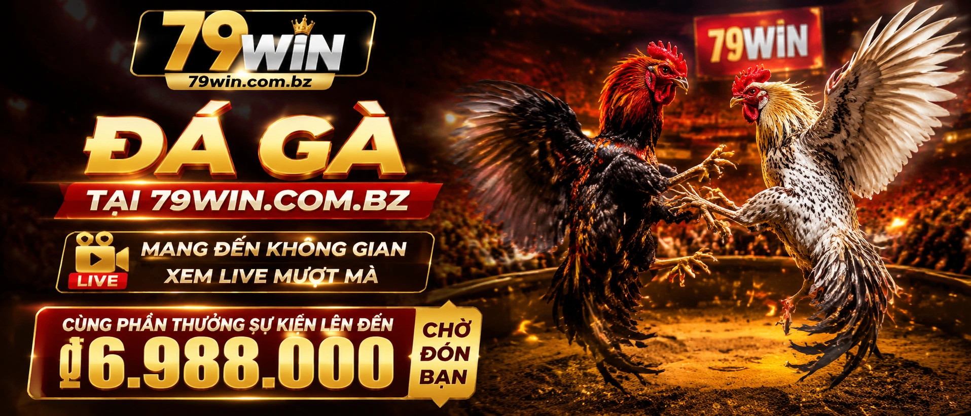 Đá Gà Trực Tiếp trên giao diện mobile 79win